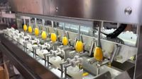 Nieuw ontwerp industriële grote schilmachine schillijnapparatuur Dragon fruit Mango schilmachine Vervangt 16 arbeiders