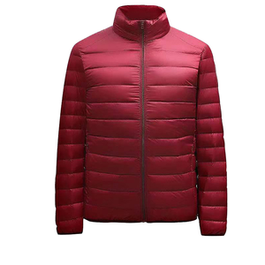 Veste d'hiver décontractée pour homme en nylon léger, tissée, avec fermeture éclair sur le devant, col montant, teinte unie, respirante, coupe-vent, rembourrée, pour l'extérieur - Product Image 3