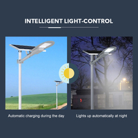 Farola Solar LED de Aluminio de 50w para Carreteras, Parques y Jardines, Resistente al Agua IP65, Control Inteligente, 6000K-6500K, Precio de Fábrica