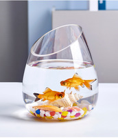 Bol à poisson moderne en verre pour la décoration de la maison Terrarium Globe Flower Vase Hydroponic Slanted Oblique Mouth Multiple Sizes for Tabletop