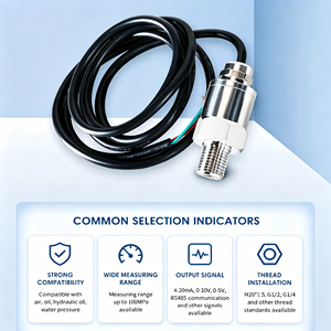 Transmisor de Presión de Acero Inoxidable de Alta Precisión Personalizado, 4-20mA, 1-5V, RS485, Modbus RTU, Sensor de Presión Absoluta -0.1-100MPa - Product Image 5