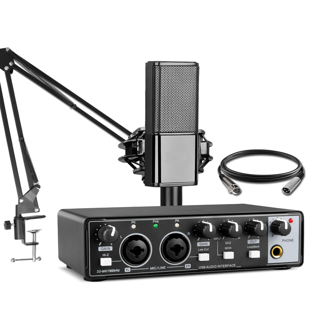 MD22 Sound Card Audio Interface USB External Live Function Microphone Sound Card