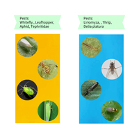 Piège à insectes jetable bleu/jaune à colle pour la surveillance des ravageurs en serre – Éliminateur de nuisibles écologique