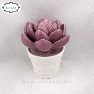 Ceramica faux pianta grassa parco arredamento del ristorante <span class=keywords><strong>con</strong></span> <span class=keywords><strong>vaso</strong></span> - Product Image 5