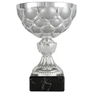 Coppa Sportiva Argentata con Base in Marmo Nero e Targa Personalizzata - Product Image 1