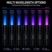 Lampe torche LED UVC 10W 254nm rechargeable 26650 à ondes courtes pour la détection de minéraux fluorescents et de pierres précieuses C8.2