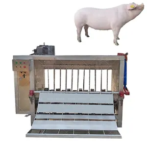 Machine d'épilation automatique pour porc, bovin, mouton, agneau