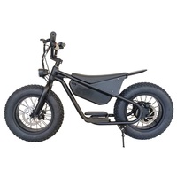Vélo électrique Fat Tire de 16 pouces pour enfants