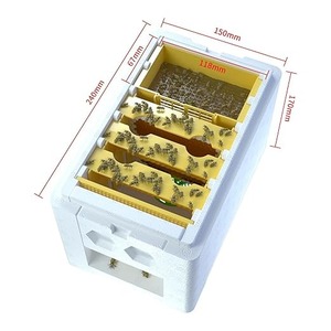 Nueva Caja <span class=keywords><strong>de</strong></span> Plástico para la Cría <span class=keywords><strong>de</strong></span> Abejas Reinas y Mini Colmena - Product Image 4