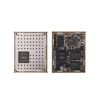 Placa SoM Runwelltek RWA030-D3X2 Económica para Orange Pi y Raspberry Pi, Allwinner A133, 2xDDR3 1GB RAM, 8/32/64GB EMMC, Montaje SMT