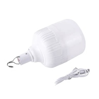 Ampoule d'Urgence Rechargeable USB E27 B22 10W 20W 30W 40W 50W, Lumière LED Portable pour Maison et Camping