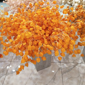 Lanterne en forme d'étoile simulée fruits photographie <span class=keywords><strong>de</strong></span> <span class=keywords><strong>mariage</strong></span> <span class=keywords><strong>fleurs</strong></span> artificielles <span class=keywords><strong>livraison</strong></span> en une seule pièce en gros - Product Image 4
