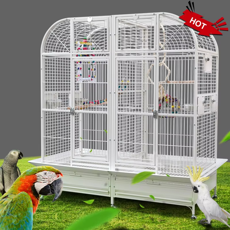 big birds cages