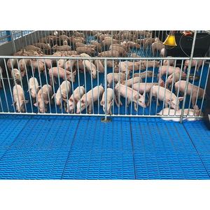 Clean Durable Comfortable for Piglets Weaner Crates - Product Image 6