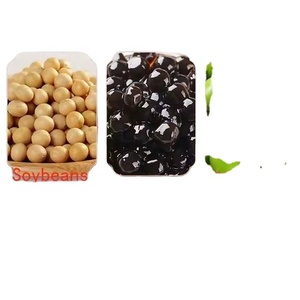 Máquina para Hacer bolas de masa de Taro, máquinas para hacer Bobba Perl, máquina para hacer té de burbujas de perla de Tapioca - Product Image 4