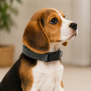 Puppy <b>Collar</b> Lite OEM ODM Custom Logo Lightweight Adjustable Nylon Puppy <b>Collar</b> Direct Manufacturer - Product Image 1
