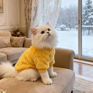 Nuevo Suéter Casual para Mascotas, de Doble Cara, de Terciopelo Ártico, Estilo Informal, para Todas las Estaciones, para Perros Pomerania, Teddy y Francés - Product Image 4