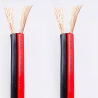 Les fabricants vendent des câbles de haut-parleur plats rouge et noir à 2 cœurs, en cuivre souple