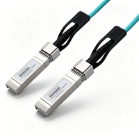 Penjualan Panas Optoray OTS-25G-AOC-1M 25G SFP28 AOC Kabel Optik Aktif 850nm Garansi 1 Tahun Harga Kompetitif FTTX Telekomunikasi 1M Fiber