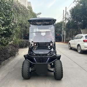 Shininglsv Fabrikant Snelle 7.5 Motor 6 Passagiers Elektrische Club Auto Off-Road Straat Legale Jacht Nutswagen - Product Image 2