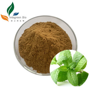 Поставка чистого натурального экстракта листьев мяты перечной в наличии экстракт Mentha Piperita экстракт герба менты по заводской цене - Product Image 1