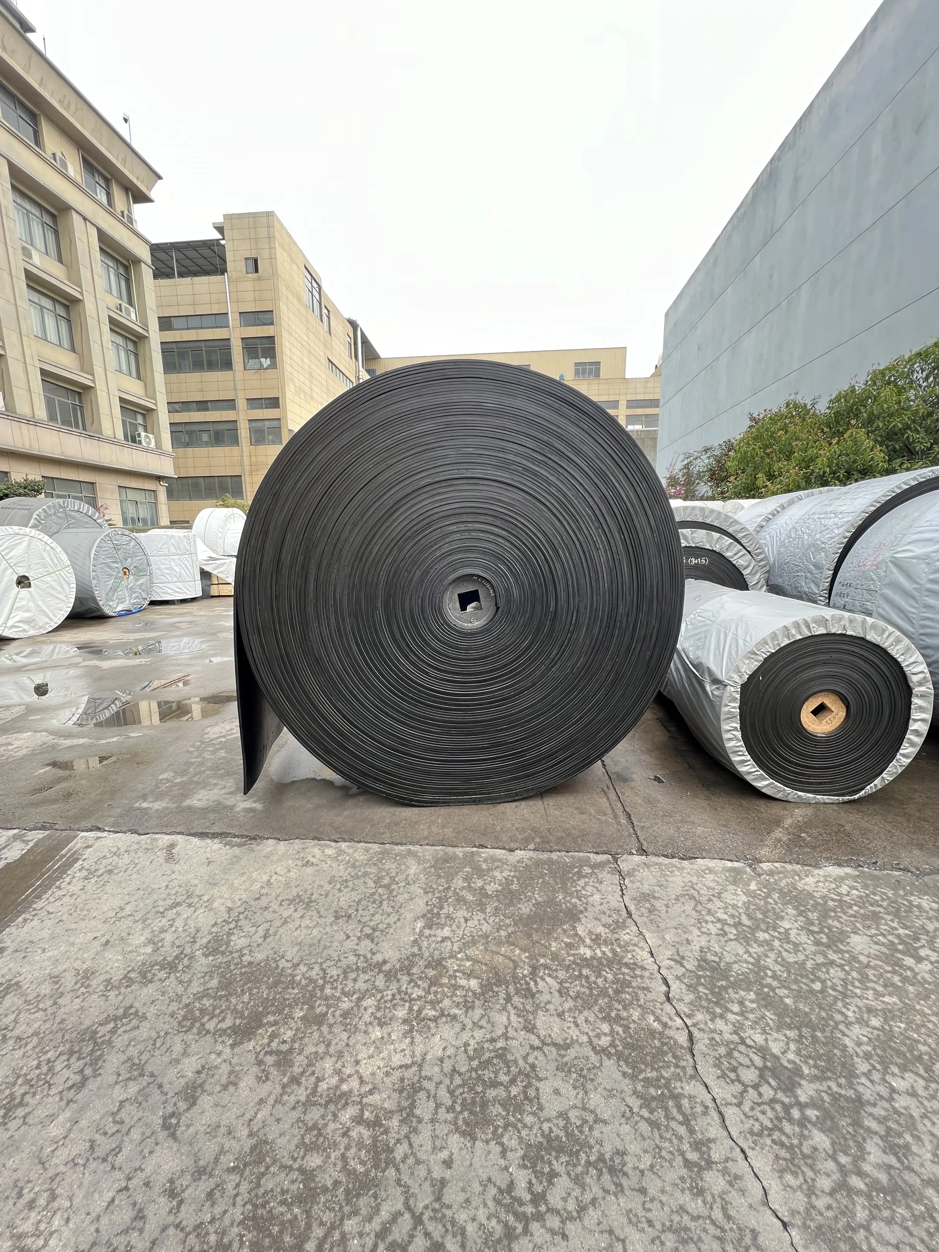 Professional Manufacture Rubber Rope Conveyor Belt 4 Ply Rubber Conveyor Belt Price