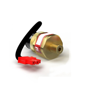 Interrupteur à vide WASCO Série P500, pression maximale 125 PSIG, boîtier en aluminium moulé, contacts argentés - Product Image 2