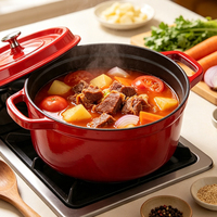 Casserole ronde en fonte émaillée résistante à la chaleur, antiadhésive, pour la cuisson, les soupes et les ragoûts