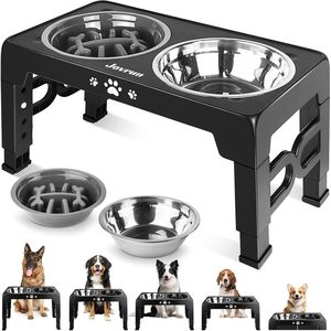 Daoge Stainless Steel Pet Bowl Double <b>Feeder</b> Elevated Non Slip For <b>Cats</b> Dogs With High Legs Food And Water Dish - Product Image 4