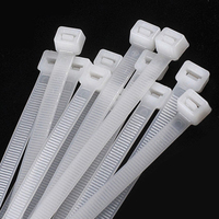 Attache-câble en nylon autobloquant haute résistance 3*100mm pour boucle d'étiquette en plastique renforcé certifié pour équipement électrique