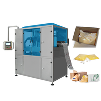 Machine de remplissage automatique de sacs en boîte (BIB) pour lait, vin et liquides, 5L/10L/25L