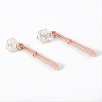 Roségold Metall Lange Gewichtete Schmuck-BDSM-Erotik-Sexspielzeuge Metall-Nippel-Klitoris-Klammern Brustklemmen Erwachsenenspiele für Paare