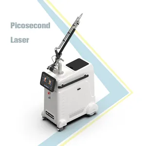 Pigment Treatment Device 755Nm Second Skin Age Spots Picosecond Tattoo Removal Revlite Q Switched Nd Yag Laser