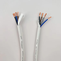 Câble flexible multiconducteur RVV 2 3 4 5 Core 0.75mm 1mm 1.5mm 2.5mm 4mm 6mm Câble électrique Câble d'alimentation
