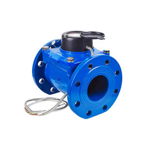 Woltman OEMカスタマイズ可能鋳鉄冷水メータードライ取り外し可能タイプ光電直接読み取りRS485プロトコルフローメーター - Product Image 3