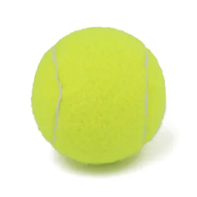SP, оптовая продажа, теннисные мячи высокого качества с пользовательским логотипом