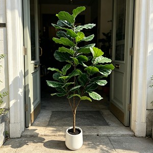 Árbol Artificial de Ficus Lyrata en Maceta Blanca para Decoración de Interiores, Hojas de Alta Simulación, Planta de Plástico - Product Image 3