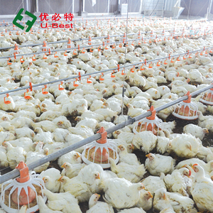 Nueva Caja de Nidificación para <span class=keywords><strong>Gallinas</strong></span> U-Best, Jaula de Recolección de Huevos, para Aves de Corral de Rango Libre, Automática, Inteligente, con Sistema de Rodamiento 1.5 - Product Image 6