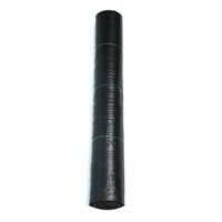 Tissu de désherbage pour la plantation de myrtilles Tissu hydratant, respirant et perméable résistant à l'herbe noire
