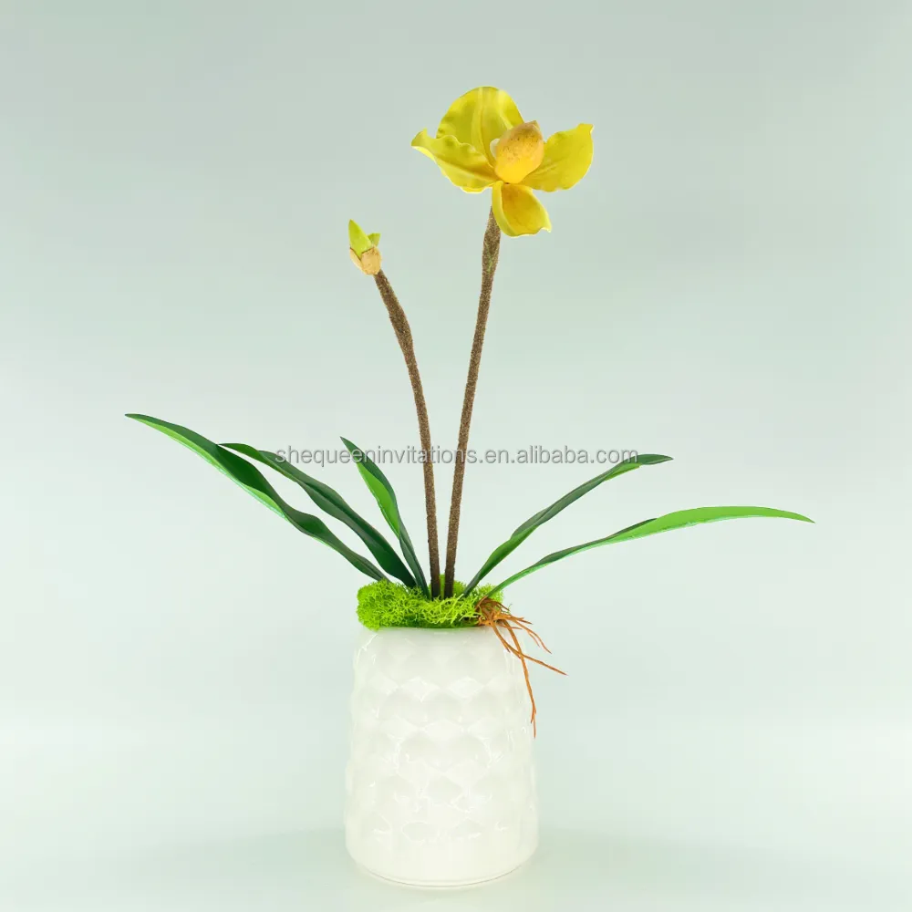 Elegant natural authentic moth artificial butterfly orchid decoration Artificial Phalaenopsis