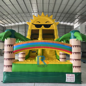 Castillo Inflable con Tobogán Doble, Temática de Verano, Castillo Inflable con Tobogán Seco, Tobogán Inflable para Niños al Aire Libre - Product Image 6