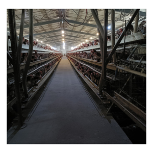 Modern Tasarım Pil Güçlü Yumurtacı Tavuklar İçin Kümes Ekipmanları Tavuk Kafesi Satılık - Product Image 1