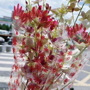 Fundas Transparentes Impermeables de PE para Flores, Fundas Rojas para Plantas con Impresión Serigrafiada, Reciclables, Venta al Por Mayor - Product Image 4