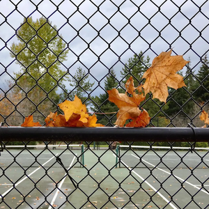 Clôture à maillons de chaîne Enceinte de poulailler pour garder les poules en sécurité Contenue résistante à la corrosion et portable Facile à démonter - Product Image 1
