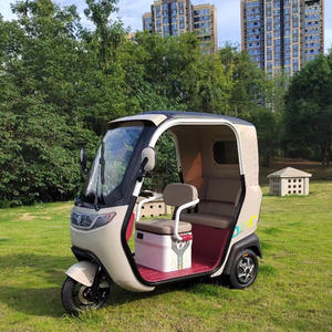 Véhicule <span class=keywords><strong>handicap</strong></span>é à 3 roues, tricycle, moto, <span class=keywords><strong>moteur</strong></span> à essence, passager - Product Image 1