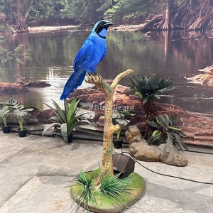 Blu lucertola parco a tema su misura di uccello animato Animatronic animale uccello africano con 3D stampato testa e artigli - Product Image 4