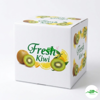 Op maat gemaakte PP plastic waterdichte golfkartonnen doos voor fruit- en groentevervoer, opvouwbaar en geschikt voor opslag