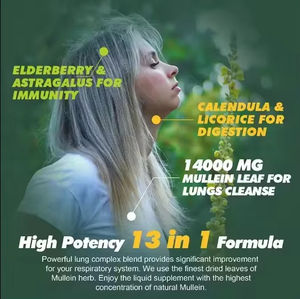 OEM Private Label Mullein Leaf Extract Drops para Pulmão Absorção Rápida Pulmões Naturais Suporte Imunológico Mullein Drops - Product Image 5