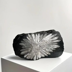 Wholesale High Quality Chrysanthemum <b>Stone</b> CrystalHola Fashion Trend Healing Stones Folk <b>Art</b> Traditional Home Decoration <b>Art</b> - Product Image 3
