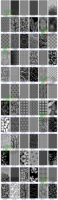 Panneaux de balustrade en acier inoxydable découpés au laser DF, faciles à installer, style arbre, pour balcon et villa